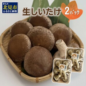 北海道産 生しいたけ(菌床) 2パック ( きのこ キノコ 椎茸 シイタケ )[038-0006]