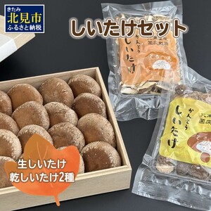 [木箱入]北海道産 生しいたけ(菌床) 乾しいたけ(ひと口・スライス)セット ( きのこ キノコ 椎茸 シイタケ )[038-0007]