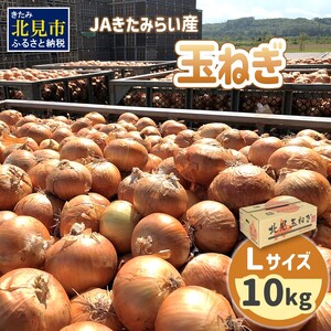 [予約:2025年9月上旬から順次発送]JAきたみらい産 玉ねぎ Lサイズ 10kg ( タマネギ たまねぎ 野菜 )[210-0001]