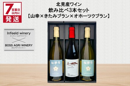 [7営業日以内に発送]北見産ワイン 飲み比べ3本セット(山幸×きたみブラン×オホーツクブラン) ( ワイン 赤ワイン 白ワイン 熟成白ワイン セット 飲み比べ 山幸 きたみブラン オホーツクブラン ギフト 贈り物 )[186-0007]