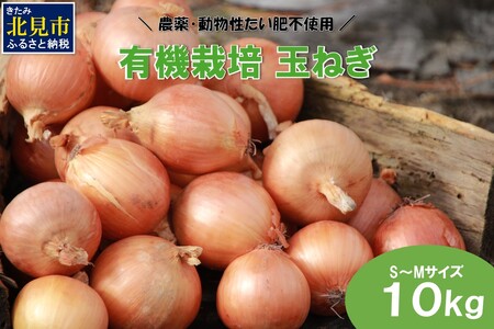 【予約：2025年10月から順次発送】農薬・動物性たい肥不使用 有機栽培 玉ねぎ 10kg S～Mサイズ ( 玉ねぎ たまねぎ 玉葱 タマネギ オニオン 野菜 サラダ 煮込み 炒め物 10キロ )【178-0001】