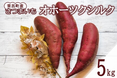 [予約:2025年11月中旬から順次発送]北海道常呂町産 サツマイモ オホーツクシルク 5kg ( さつまいも さつま芋 焼き芋 大学芋 )[111-0001]