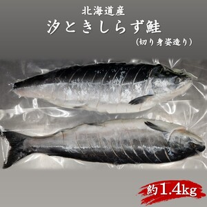 北海道産 汐ときしらず鮭 約1.4kg 切り身姿造り ( 鮭 ときしらず トキシラズ 時鮭 時不知鮭 焼き鮭 ギフト 贈り物 )[017-0022]