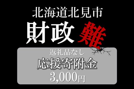 【返礼品なし】北海道北見市 応援寄附(3,000円分)【223-0002】