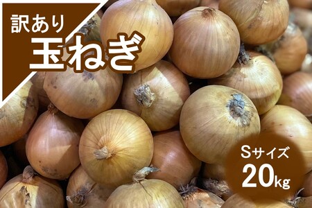 yAzʂ˂ 20kg STCY ( kCY  ܂˂ 킯 )y009-0005z