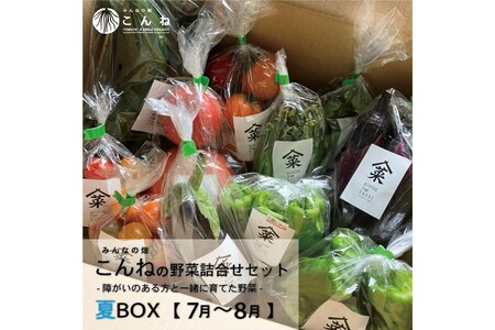 [予約:2026年7月下旬から順次発送]こんねの旬の野菜詰め合わせセット 夏BOX 7〜8月 ( 野菜 やさい セット 詰め合わせ 野菜セット 旬 新鮮 )[202-0003]