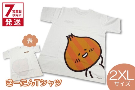 [7営業日以内に発送]きーたんTシャツ 2XLサイズ ( Tシャツ シャツ トップス 2XL イラスト 可愛い )[165-0014]