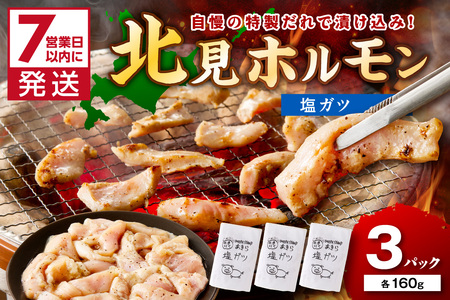 [7営業日以内に発送]あきら特製塩ガツ 160g×3パック ( 焼肉 ホルモン 肉 にく 塩 )[205-0004]