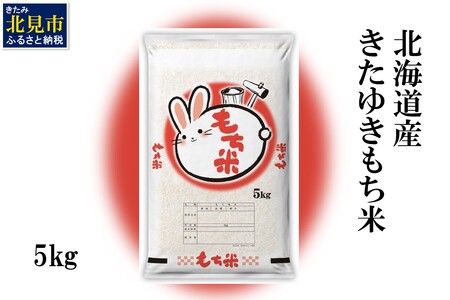 kCY 䂫 5kg (   kCY Ԕ َq )y061-0003z