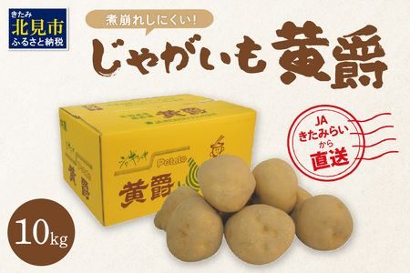 【予約：2024年10月中旬から順次発送】煮くずれしにくく、カレーや肉じゃがにピッタリ！JAきたみらいから直送する新鮮じゃがいも「黄爵」10kg ( 野菜 期間限定 芋 北海道 )【104-0002-2024】