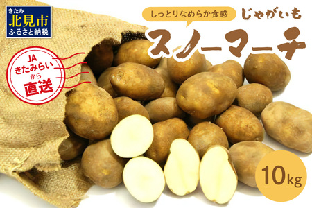 【予約：2025年10月中旬から順次発送】ホワイトシチューやグラタンにオススメ！JAきたみらいから直送する新鮮じゃがいも「スノーマーチ」10kg ( 野菜 期間限定 北海道 )【104-0003-2025】