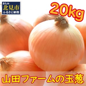 【A-397】山田ファームの玉葱 20kg（Lサイズ以上）【2022年10月中旬から順次発送】