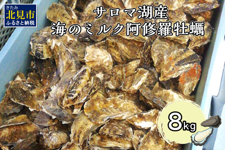 y\F2025N10{珇zT}ΎY C̃~N Cy 8kg (  CN  y  JL C̃~N T} 8L 1NJL )y031-0016z