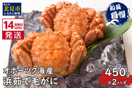 s14cƓȓɔtIz[cNCY l䥂Ŗт 450g×2nC Ⓚ (  Jj уKj  I )y114-0031-2025z