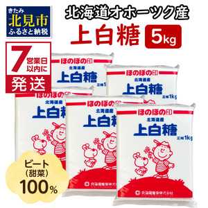 [7営業日以内に発送]北海道オホーツク産ビート100% 上白糖 5kg