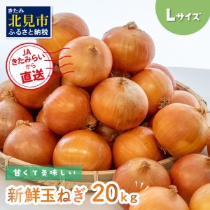 A-397-2023】【先行予約】山田ファームの玉葱 20kg（Lサイズ以上