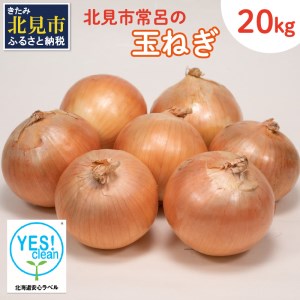 A-397-2023】【先行予約】山田ファームの玉葱 20kg（Lサイズ以上