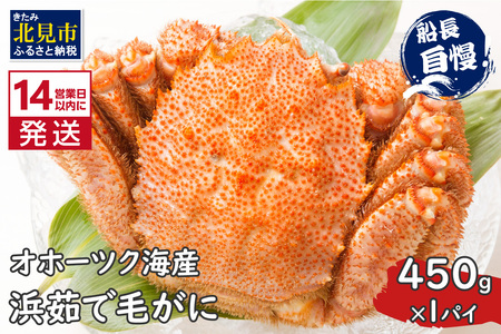 s14cƓȓɔtIz[cNCY l䥂Ŗт 450g×1pC Ⓚ (  Jj уKj  I )y114-0019-2025z