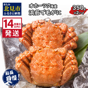 [14営業日以内に発送]オホーツク海産 浜茹で毛がに 350g×2ハイ 冷凍 ( かに カニ 毛ガニ 魚介類 蟹 )[114-0021-2024]