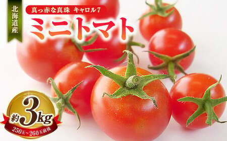 ミニトマト 約3kg 野菜 トマト キャロルセブン とまと 高糖度 浦臼産 北海道産 国産 3kg 北海道 浦臼町 [2025年7月下旬〜9月上旬発送予定]
