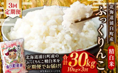 【3回定期便】＜令和8年産＞浦臼産ふっくりんこ 精白米 10kg（5kg×2袋） | 米 お米 こめ コメ ブランド米 白米 精米 ごはん ふっくりんこ 定期 定期便 北海道産 浦臼産 北海道 浦臼町 【2026年11月上旬より順次発送】
