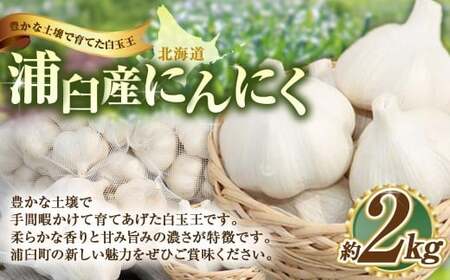 �Y�P�Y �ɂ�ɂ� ��2kg  �j���j�N �� �K�[���b�N ��� ���Y �k�C�� �Y�P�� �y2026�N9����{�`2026�N12�����{�����\��z