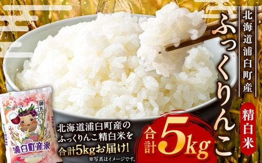 [ 令和8年産 ]浦臼産 ふっくりんこ 精白米 5kg お米 米 こめ コメ 白米 白飯 飯 ご飯 おにぎり ブランド米 ブランド 国産 北海道産 和食 魚料理 [ 2026年11月上旬より順次発送 ]