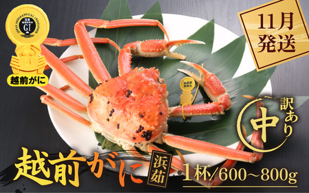 󂠂y11zzOɖ{̉zO炨͂Il䥂ŉzO TCYi600`800gj × 1t  [e43-x009_11] Jj  zO zOYCKj zO zOJj p