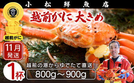 l䥂ŁzO킢I 傫߃TCY× 1ti800`900gjnŊ΂ŉEŉzO̍`璼Iy11zyY YCKj 킢 p {C ① 䌧z]w