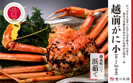 冬の日本海の味 浜茹で【越前がに 小 0.7kg前後】11月～翌3月順次発送 [e56-x004]