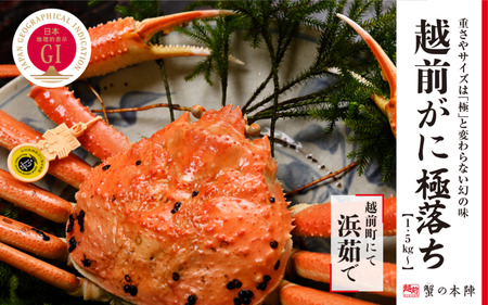 冬の日本海の味 福井県のブランド蟹「極」に準ずる 浜茹で[越前がに 極落ち 1.5kg〜]11月〜翌3月発送 [e56-x008]