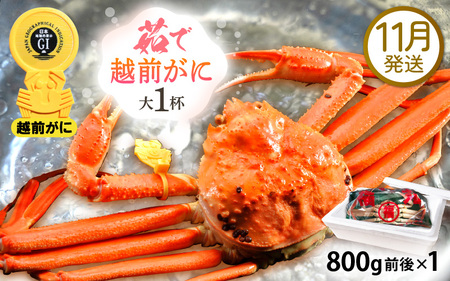 zOɖ{̉zO炨͂I zO l䥂 TCYi800gOj × 1t y11z ɂ̐Hו ɃXv[ty Jj Izy䌧 zO Y YCKj