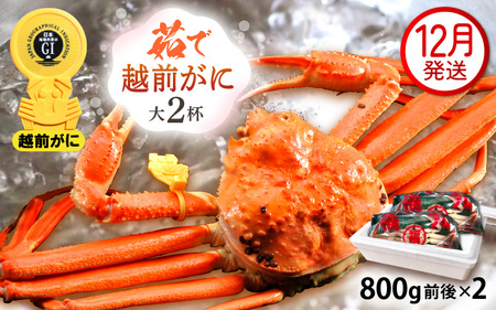 zOɖ{̉zO炨͂I zO l䥂 TCYi800gOj × 2t y12z ɂ̐Hו ɃXv[ty Jj Izy䌧 zO Y YCKj