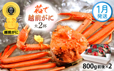 zOɖ{̉zO炨͂I zO l䥂 TCYi800gOj × 2t y1z ɂ̐Hו ɃXv[ty Jj Izy䌧 zO Y YCKj