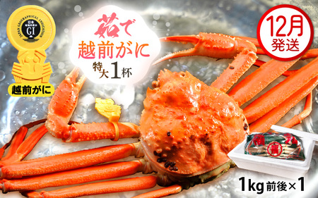 zOɖ{̉zO炨͂I zO l䥂 TCYi1kgOj × 1t y12z ɂ̐Hו ɃXv[ty Jj Izy䌧 zO Y YCKj