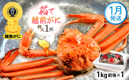 zOɖ{̉zO炨͂I zO l䥂 TCYi1kgOj × 1t y1z ɂ̐Hו ɃXv[ty Jj Izy䌧 zO Y YCKj