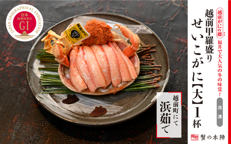 zOb l䥂Ły z [e56-x010]