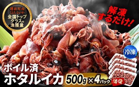 解凍するだけ ! 越前町産 ボイル済 ホタルイカ 満腹 計2kg(500g × 4P) 急速凍結 冷凍 ほたるいか 全国トップクラスの漁獲量[茹で ボイル 日本海 いか イカ 烏賊 福井県 魚介 海鮮 惣菜 さかな おつまみ 酒の肴 お取り寄せ グルメ 宅飲み 小分け 日常使い おすそわけ ギフト] [e15-a055]