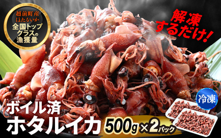 解凍するだけ ! 越前町産 ボイル済 ホタルイカ 計1kg(500g × 2P) 急速凍結 冷凍 ほたるいか 全国トップクラスの漁獲量[茹で ボイル 日本海 いか イカ 烏賊 福井県 魚介 海鮮 惣菜 さかな おつまみ 酒の肴 お取り寄せ グルメ 宅飲み 小分け 日常使い 1万円以下 買い回り] [e15-a053]