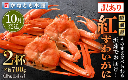 【訳あり】≪浜茹で≫越前産 紅ずわいがに 約700g × 2杯 食べ方しおり付【10月発送分】【紅ズワイガニ カニ かに 蟹 姿 ボイル 冷蔵 福井県】希望日指定不可 [e14-x025_10]