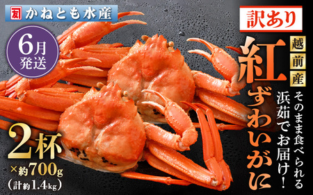 [訳あり]≪浜茹で≫越前産 紅ずわいがに 約700g × 4杯 食べ方しおり付[6月発送分][紅ズワイガニ カニ かに 蟹 姿 ボイル 冷蔵 福井県]希望日指定不可 [e14-x025_06]