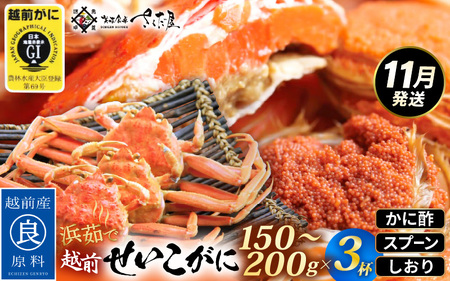 ≪浜茹で≫ 越前 せいこがに 150〜200g × 3杯[雌 ズワイガニ][カニ かに 蟹 越前ガニ セコガニ カニみそ]かに酢・かにスプーン・食べ方のしおり付 [11月発送分]希望日指定可 備考欄に希望日をご記入ください [e04-x035_11]