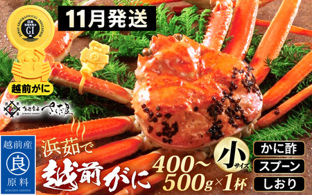 越前がに本場の越前町からお届け!浜茹で 越前がに 小サイズ(生で400〜500g) × 1杯 か酢 食べ方しおり スプーン付き[かに カニ 蟹 雄 ズワイガニ ずわいがに 姿 ボイル 福井県 冷蔵][11月発送分]希望日指定可 備考欄希望日をご記入ください [e04-x028_11]