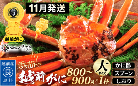 zOɖ{̉zO炨͂Il䥂 zO TCYi800`900gj × 1t ɐ| Hו Xv[ty Jj I Y YCKj 킢 p {C 䌧 ①zy1