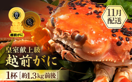 【11月発送】越前がに本場の越前町からお届け！浜ゆで越前かに 超特 皇室献上級（約1.3kg前後） × 1杯  [e65-x005_11] カニ かに  越前ズワイガニ 越前かに 越前カニ 