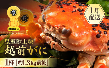 【1月発送】越前がに本場の越前町からお届け！浜ゆで越前かに 超特 皇室献上級（約1.3kg前後） × 1杯  [e65-x005_01] カニ かに  越前ズワイガニ 越前かに 越前カニ 