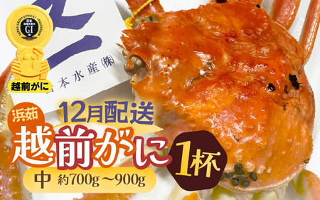 zOI^Oty12zzOɖ{̉zO炨͂Il䥂ŉzO TCYiŖ700`900gj × 1t  [e72-x002_12] Jj  zO zOYCKj zO zOJj p