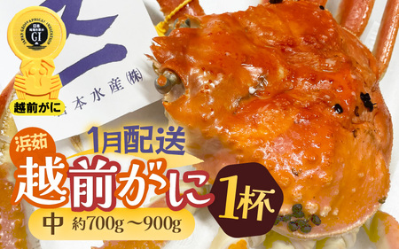 zOI^Oty1zzOɖ{̉zO炨͂Il䥂ŉzO TCYiŖ700`900gj × 1t  [e72-x002_01] Jj  zO zOYCKj zO zOJj p