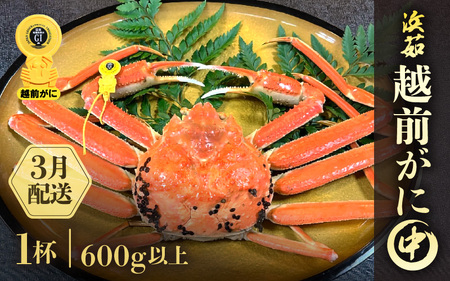 y3zzOɖ{̉zO炨͂Il䥂ŉzOɒTCYi600gȏj × 1t  [e68-x004_03] Jj  zO zOYCKj zO zOJj p