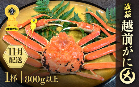 y11zzOɖ{̉zO炨͂Il䥂ŉzOɑTCYi800gȏj × 1t  [e68-x003_11] Jj  zO zOYCKj zO zOJj p